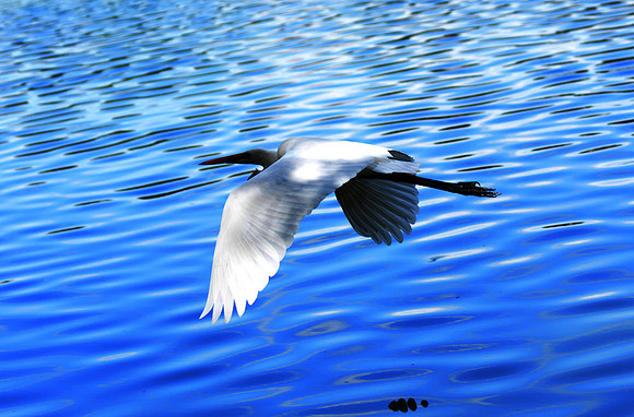 8. APRIL_8813 copy copy 3