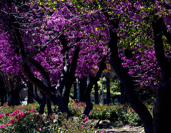 MJE_0817 copy