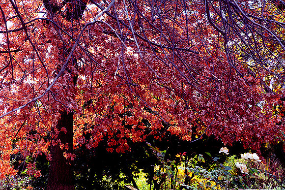 MJE_9783 copy copy copy