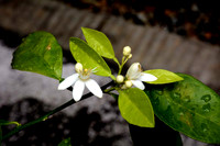 MJE_8725