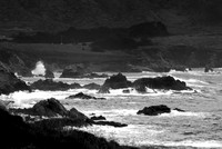DSC_3700bw copy 2