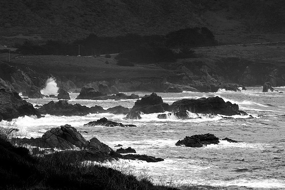 DSC_3700bw copy 2