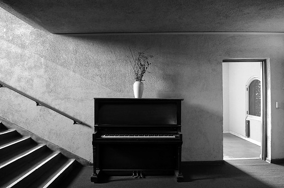 DSC_3003bw copy
