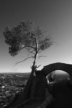 DSC_7070bw copy