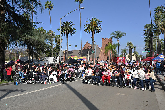 MJE_0958