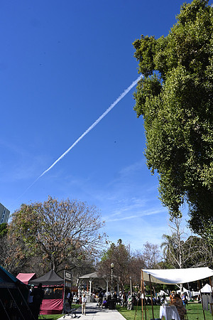 MJE_4543