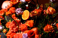 MJE_5688