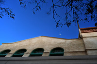 MJE_4805
