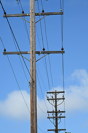 MJE_8252