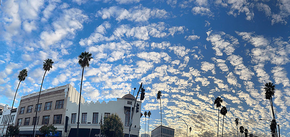 IMG_5319 copy 2