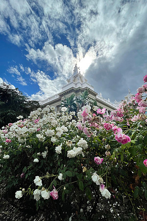 IMG_1819 copy