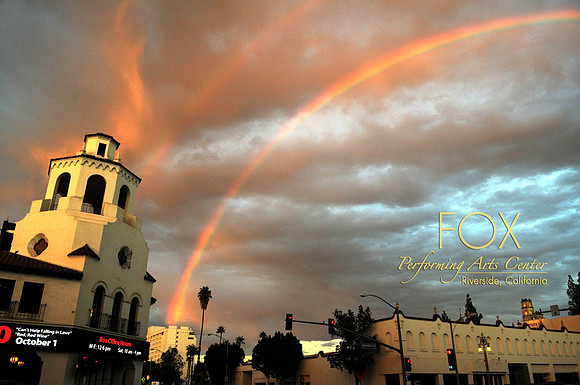 7 Fox Rainbow copy