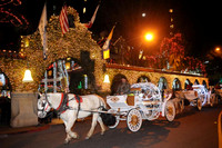 DSC_2802 copy