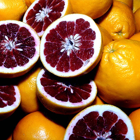 citrusbasket copy copy copy