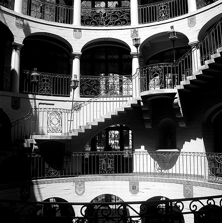 DSC_2131 bwcopy copy 2