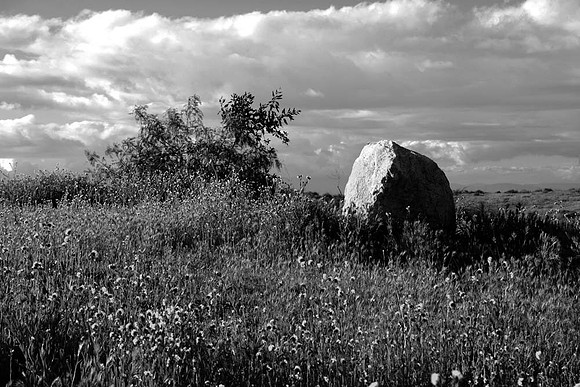 MJE_9184 copy