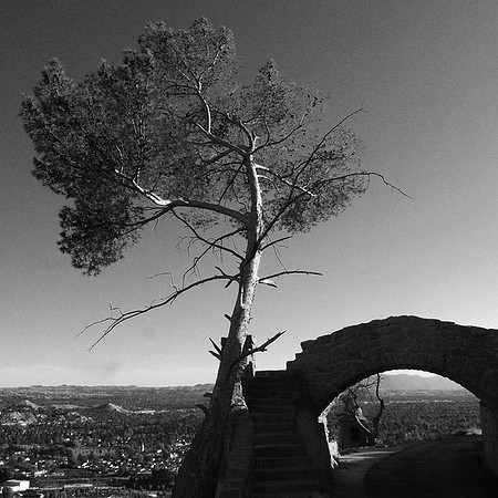 DSC_7070bw copy