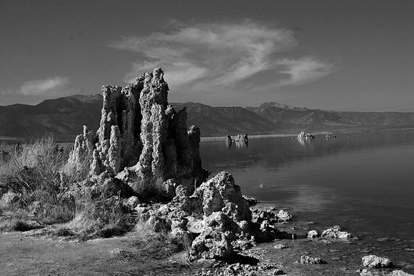 IMG_1922 copy