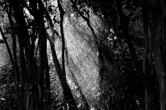 DSC_2875 copy