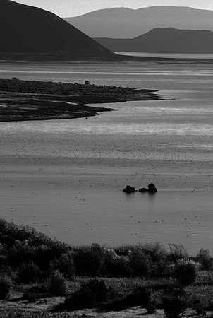 DSC_9005 copy