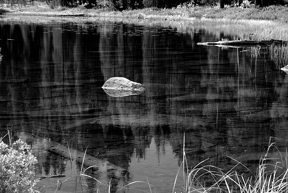 DSC_0532 copy