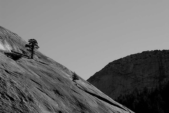 DSC_9017 copy