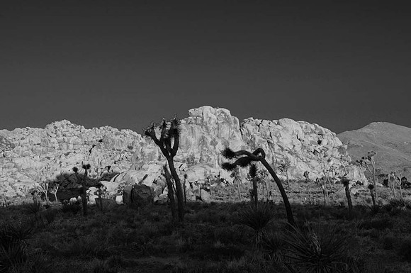 DSC_5026 copy