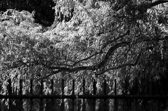 MJE_4815 copy 2
