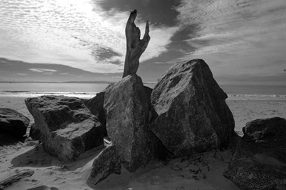 DSC_0135bw