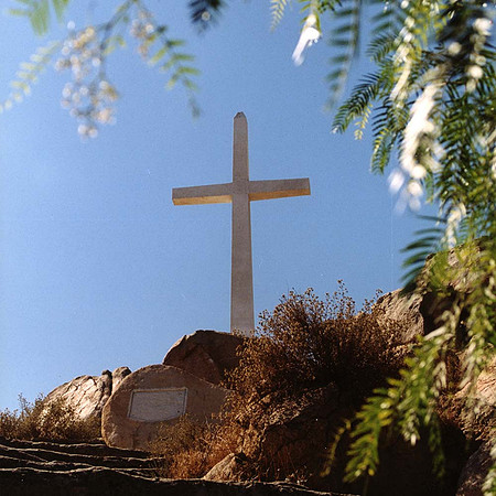 RubidouxcrossCU copy