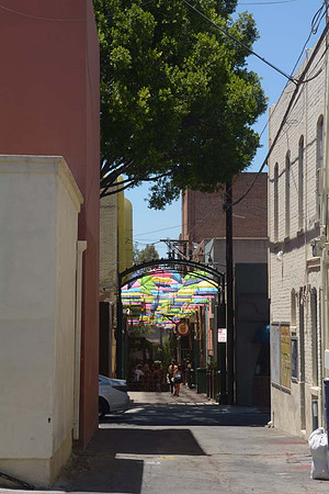 MJE_6295