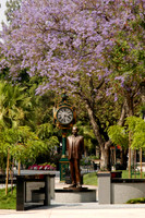 AhnChangHo copy