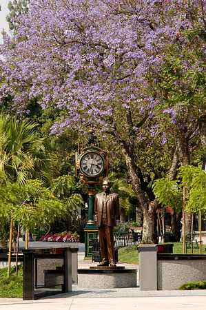 AhnChangHo copy