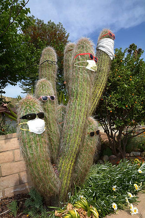 MJE_5057 copy 2