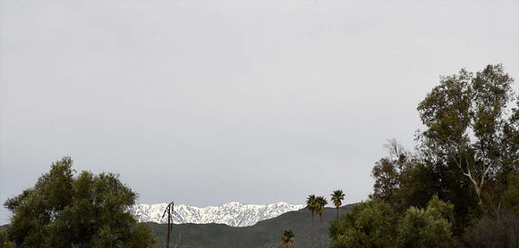 MJE_7405