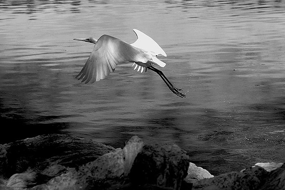 MJE_8797 copy copy