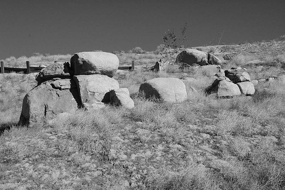 MJE_3288bw