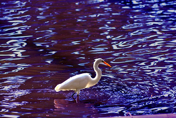 MJE_3068 copy