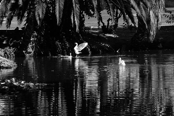 SEPT_8734 copy