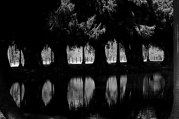 MJE_8751 copy copy