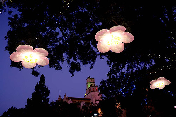 MJE_0143 copy2