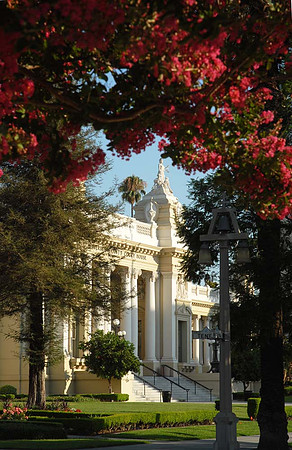 DSC_7246 copy 1