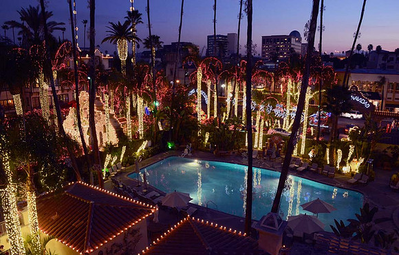 MJE_1375