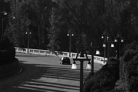 DSC_5302 copy 2