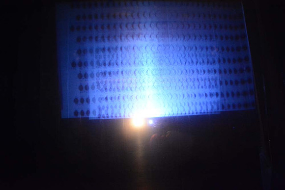 MJE_6802