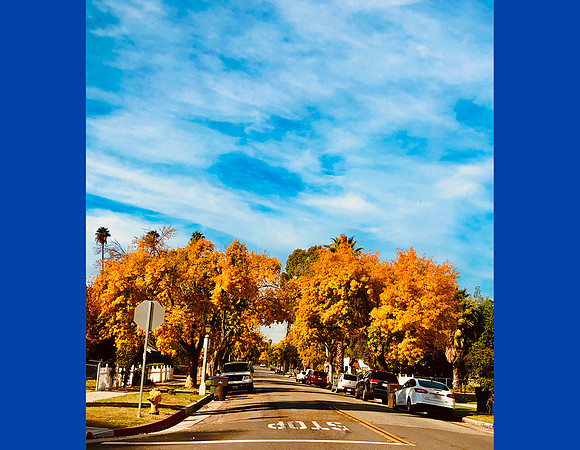 24. DECEMBER_6160 copy 3