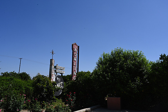 MJE_6137