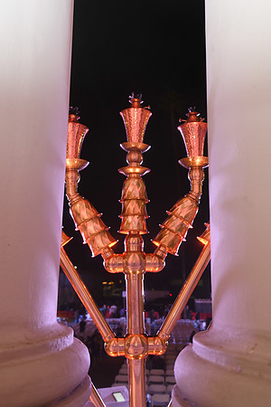 MJE_1386