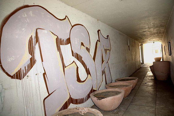 MJE_2648