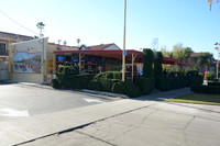 MJE_0990